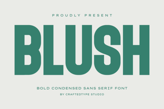 Blush Font Design Trends 2024